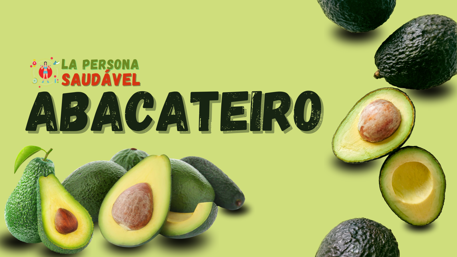 O Abacateiro: Benefícios, Usos e Receitas para o Emagrecimento.