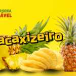 Abacaxizeiro: Propriedades, Usos e Receitas para Emagrecimento